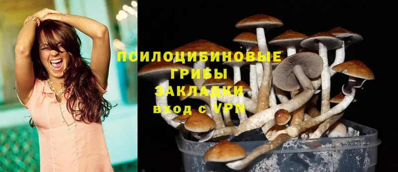 купить   Белая Холуница  МЕГА ссылка  Псилоцибиновые грибы MAGIC MUSHROOMS 